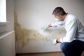 Best Air Quality Testing for Mold Spores  in Foley, AL